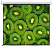 Esquire Electric Projector Screen 300 X 169, Retail Box , 1 year Limited Warranty